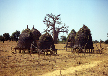 Photo niger_0618